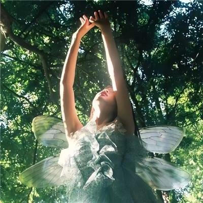 重生上海滩他们逼我当帮主